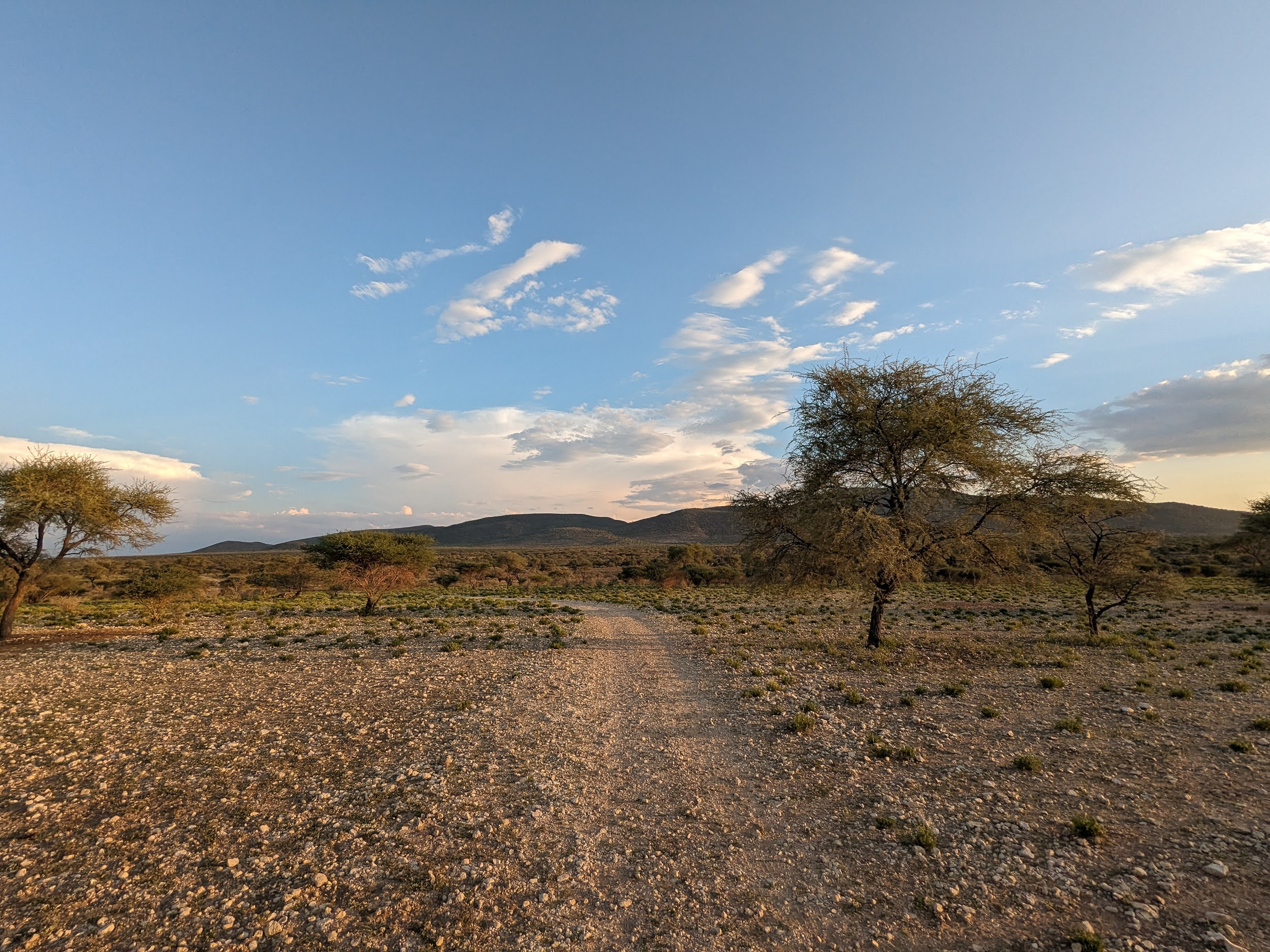 okavandu_namibia_game_drive_059.jpg