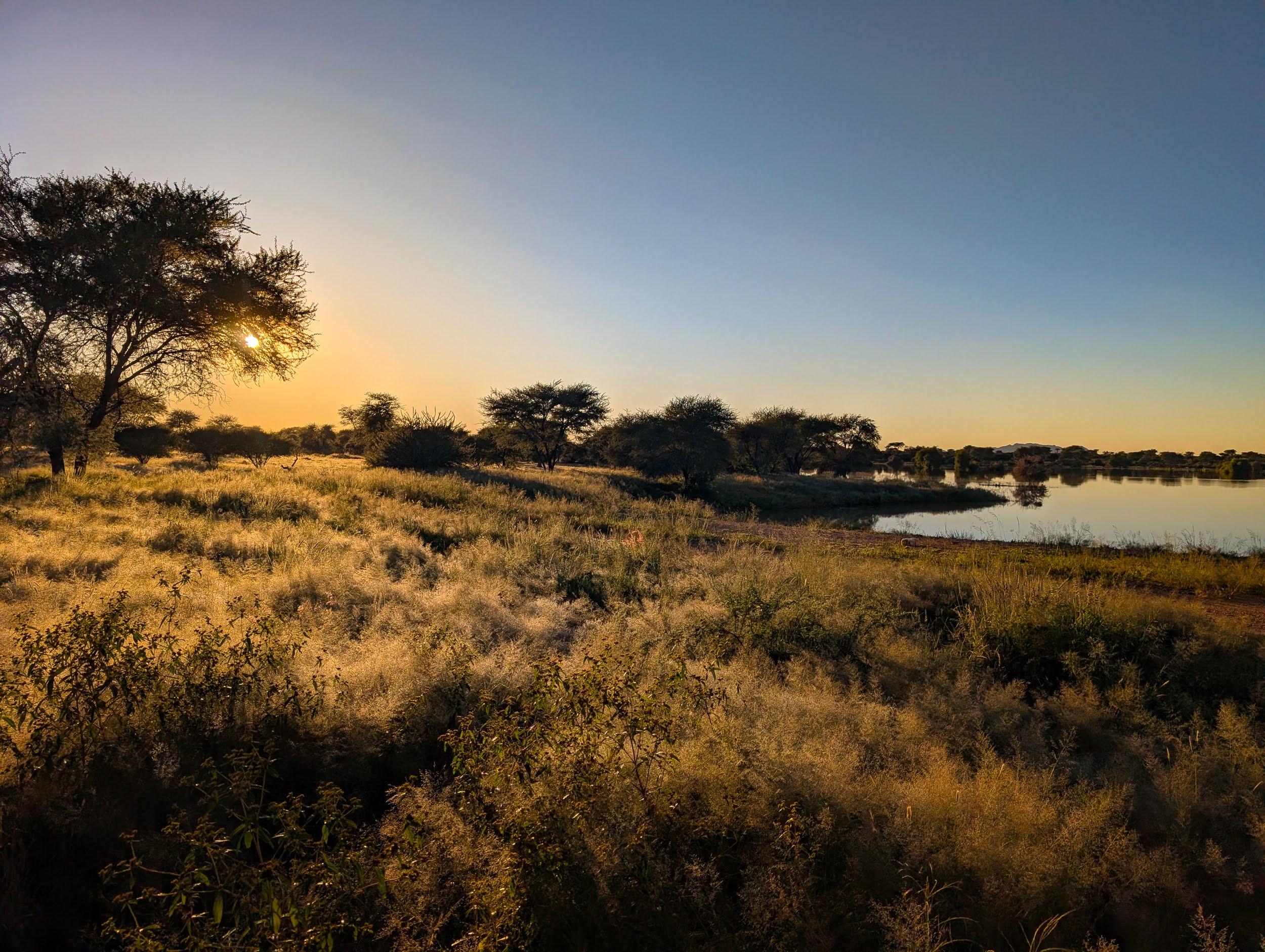 okavandu_namibia_game_drive_080.jpg